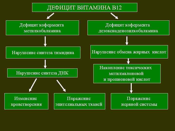 ДЕФИЦИТ ВИТАМИНА В 12 Дефицит кофермента метилкобаламина Дефицит кофермента дезоксиаденозилкобаламина Нарушение синтеза тимидина Нарушение