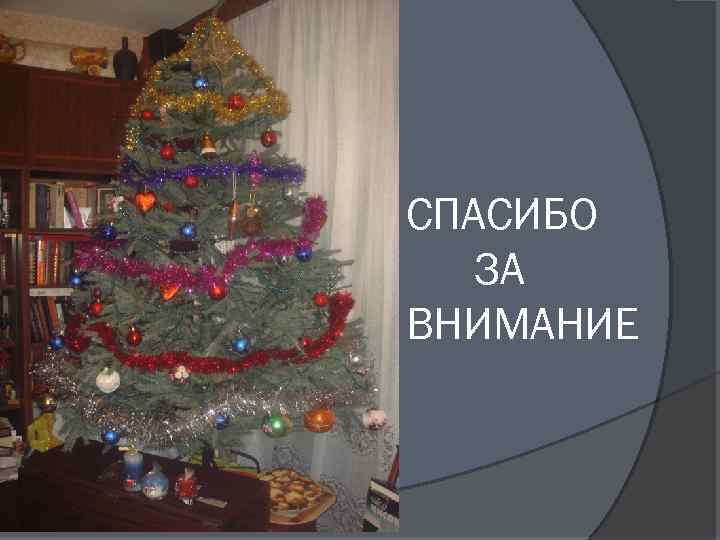 СПАСИБО ЗА ВНИМАНИЕ 