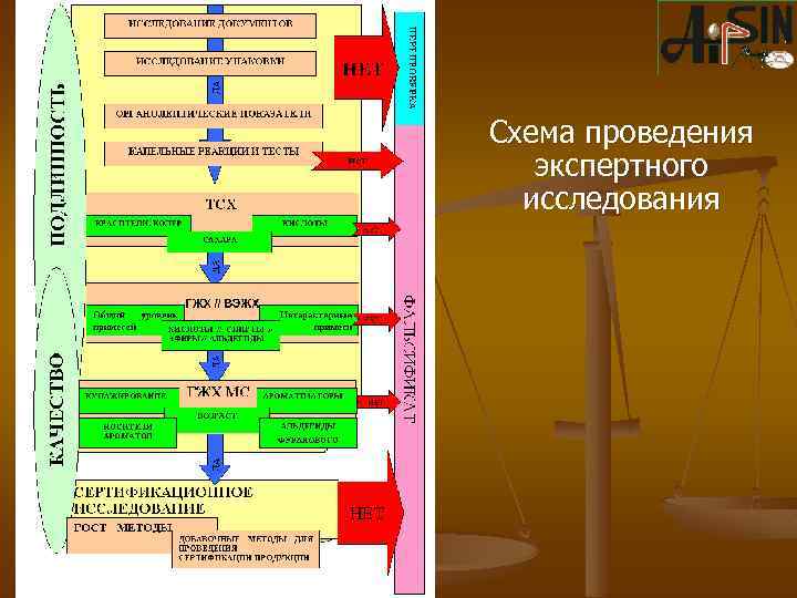 Схема проведения экспертного исследования 