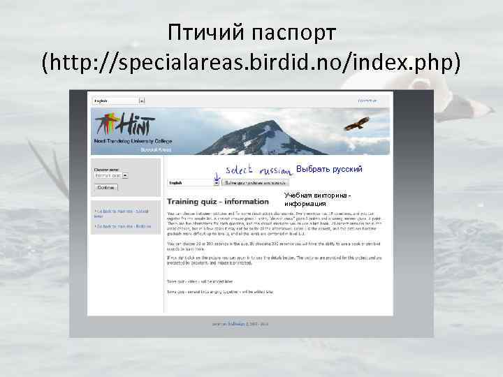 Птичий паспорт (http: //specialareas. birdid. no/index. php) Выбрать русский Учебная викторина информация 