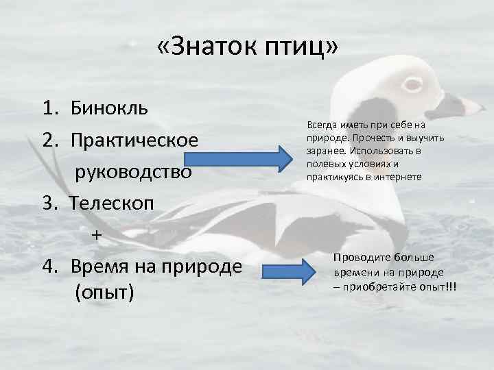  «Знаток птиц» 1. Бинокль 2. Практическое руководство 3. Телескоп + 4. Время на