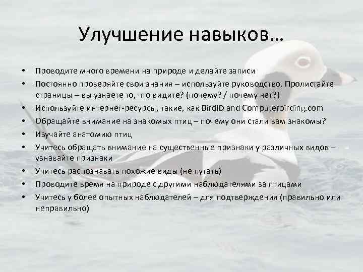Улучшение навыков… • • • Проводите много времени на природе и делайте записи Постоянно