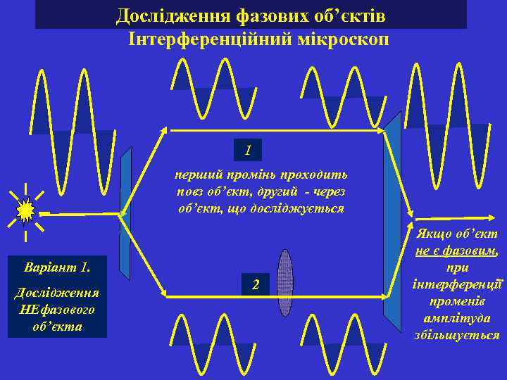 Дослідження фазових об’єктів Інтерференційний мікроскоп 1 перший промінь проходить повз об’єкт, другий - через