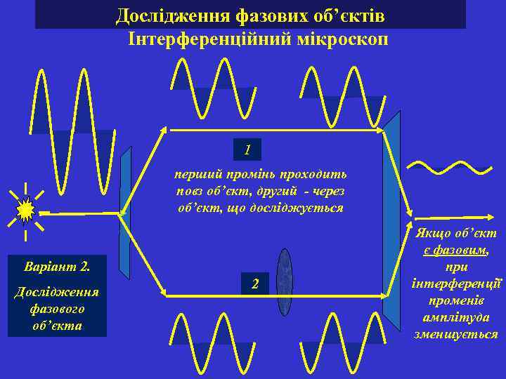 Дослідження фазових об’єктів Інтерференційний мікроскоп 1 перший промінь проходить повз об’єкт, другий - через