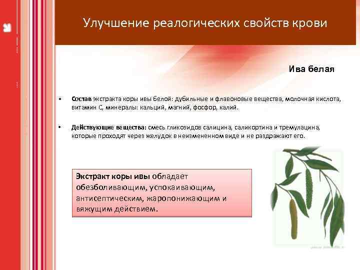 Улучшение реалогических свойств крови Ива белая • Состав экстракта коры ивы белой: дубильные и