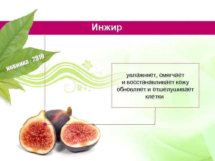 Инжир увлажняет, смягчает и восстанавливает кожу обновляет и отшелушивает клетки 
