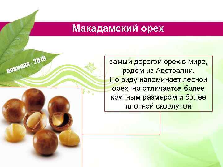 Макадамский орех самый дорогой орех в мире, родом из Австралии. По виду напоминает лесной