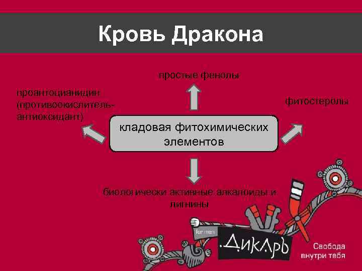 Кровь Дракона простые фенолы проантоцианидин (противоокислительантиоксидант) фитостеролы кладовая фитохимических элементов биологически активные алкалоиды и