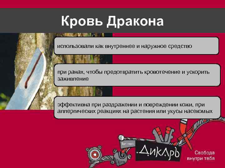 Кровь Дракона использовали как внутреннее и наружное средство при ранах, чтобы предотвратить кровотечение и
