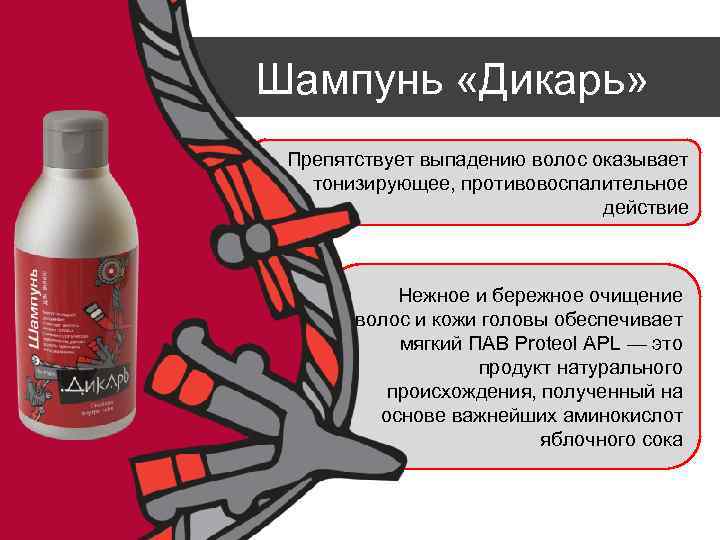 Шампунь «Дикарь» Препятствует выпадению волос оказывает тонизирующее, противовоспалительное действие Нежное и бережное очищение волос