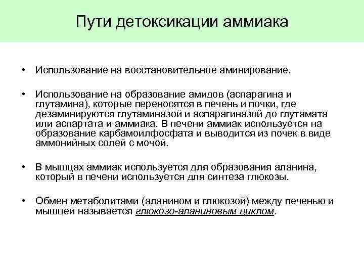 Пути детоксикации аммиака • Использование на восстановительное аминирование. • Использование на образование амидов (аспарагина