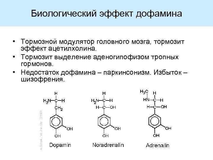 Биологический эффект дофамина • Тормозной модулятор головного мозга, тормозит эффект ацетилхолина. • Тормозит выделение