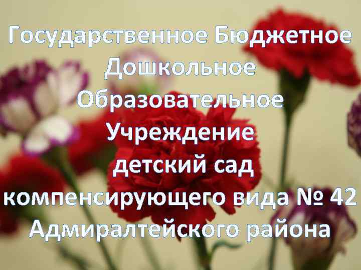 Государственное Бюджетное Дошкольное Образовательное Учреждение детский сад компенсирующего вида № 42 Адмиралтейского района 