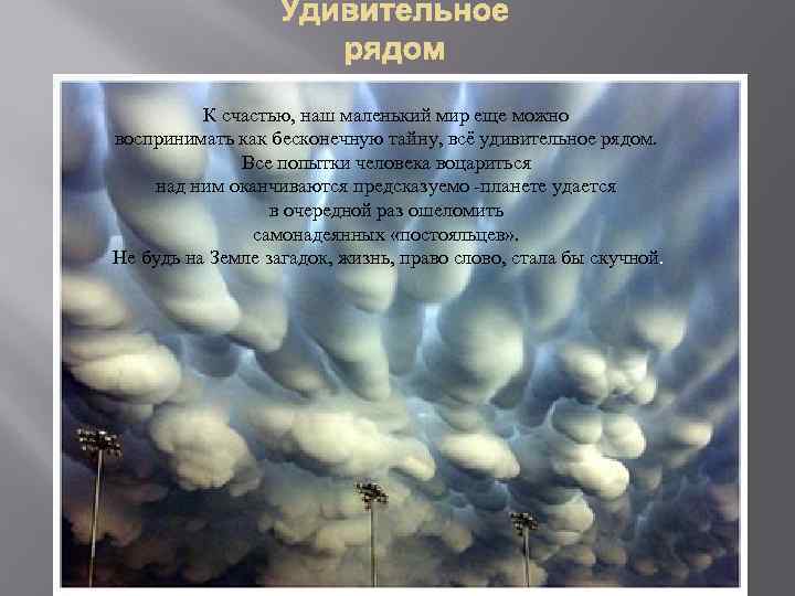 К счастью, наш маленький мир еще можно воспринимать как бесконечную тайну, всё удивительное рядом.