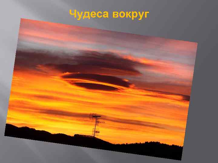 Чудеса вокруг 