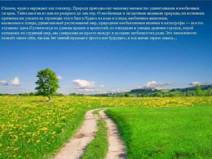 Словом, чудеса окружают нас повсюду. Природа преподносит человеку множество удивительных и необычных загадок. Тайна