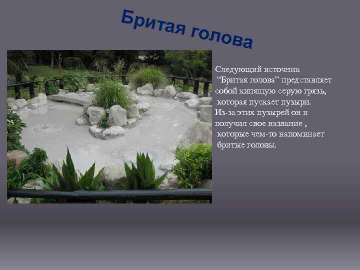 Брита я гол ова Следующий источник “Бритая голова” представляет собой кипящую серую грязь, которая