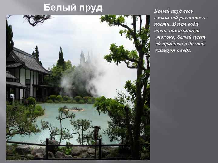 Белый пруд весь в пышной растительности. В нем вода очень напоминает молоко, белый цвет