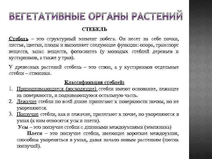 СТЕБЕЛЬ Стебель – это структурный элемент побега. Он несет на себе почки, листья, цветки,