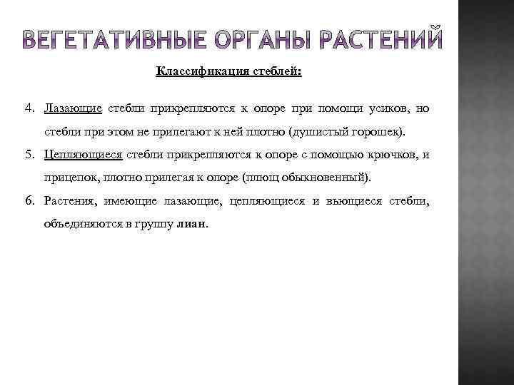 Классификация стеблей: 4. Лазающие стебли прикрепляются к опоре при помощи усиков, но стебли при