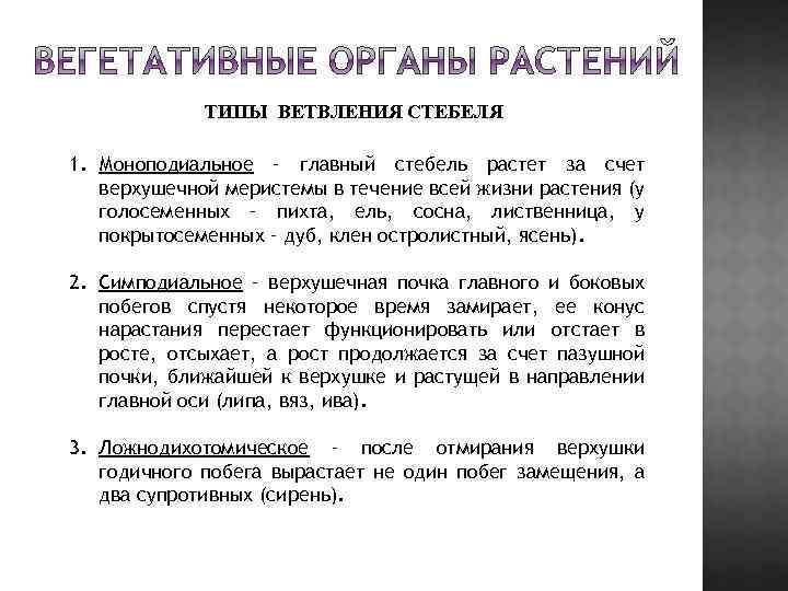 ТИПЫ ВЕТВЛЕНИЯ СТЕБЕЛЯ 1. Моноподиальное – главный стебель растет за счет верхушечной меристемы в