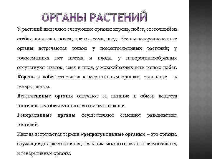 У растений выделяют следующие органы: корень, побег, состоящий из стебля, листьев и почек, цветок,