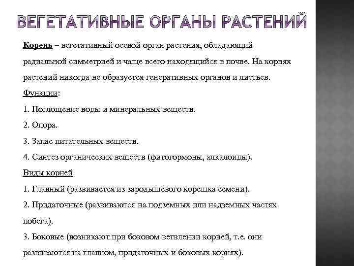 Корень – вегетативный осевой орган растения, обладающий радиальной симметрией и чаще всего находящийся в