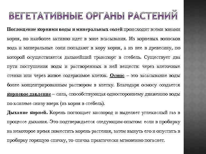 Поглощение корнями воды и минеральных солей происходит всеми зонами корня, но наиболее активно идет