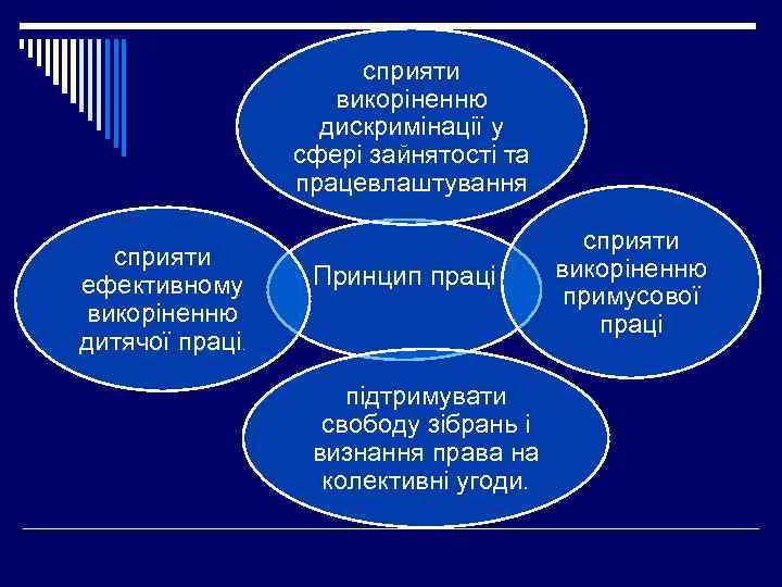 сприяти викоріненню дискримінації у сфері зайнятості та працевлаштування сприяти ефективному викоріненню дитячої праці. Принцип