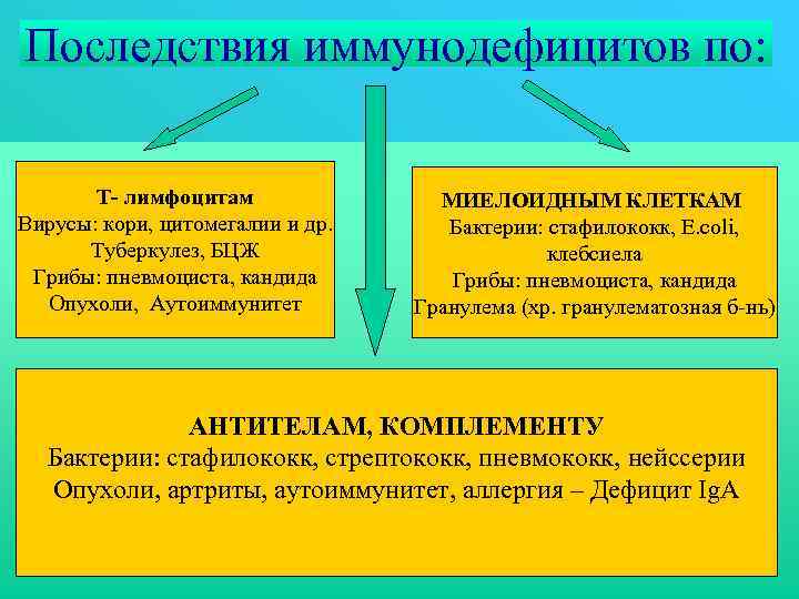 Последствия иммунодефицитов по: Т- лимфоцитам Вирусы: кори, цитомегалии и др. Туберкулез, БЦЖ Грибы: пневмоциста,