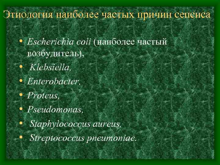 Этиология наиболее частых причин сепсиса • Escherichia coli (наиболее частый • • • возбудитель),
