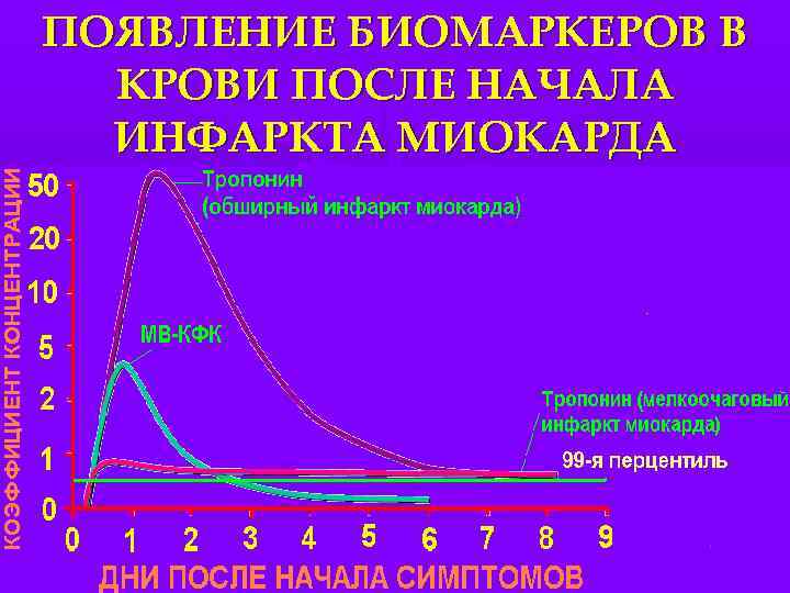 ПОЯВЛЕНИЕ БИОМАРКЕРОВ В КРОВИ ПОСЛЕ НАЧАЛА ИНФАРКТА МИОКАРДА 