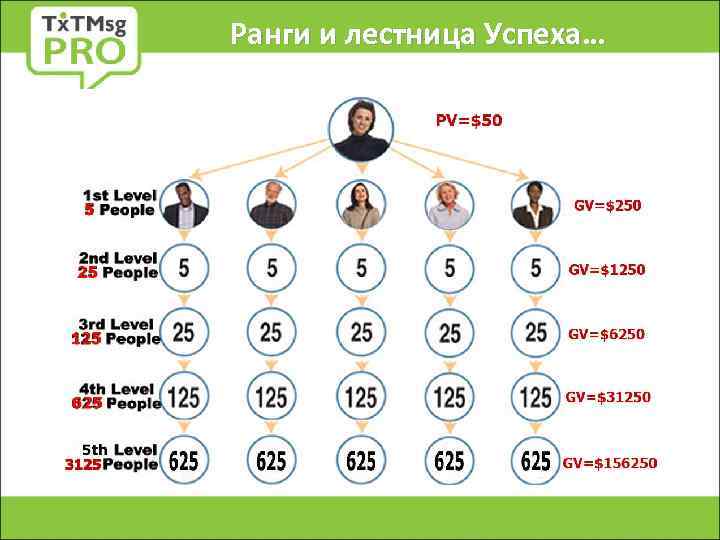 Ранги и лестница Успеха… 