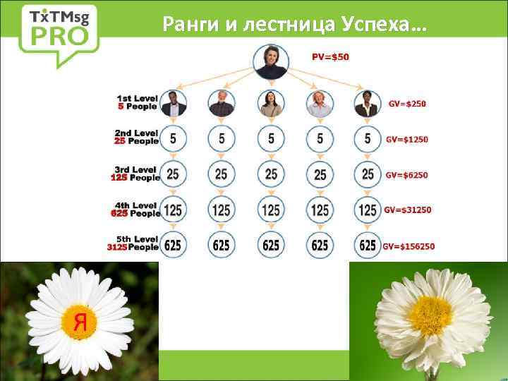 Ранги и лестница Успеха… Я 