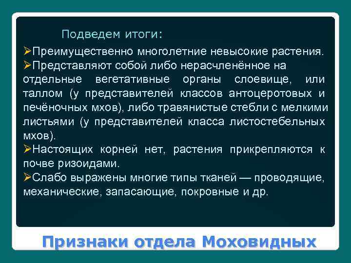 Подведем итоги: ØПреимущественно многолетние невысокие растения. ØПредставляют собой либо нерасчленённое на отдельные вегетативные органы