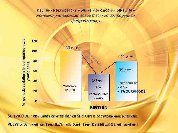 Изучение экспрессии «белка молодости» SIRTUIN – молекулярно-биологический тест на состаренных фибробластах 30 лет е