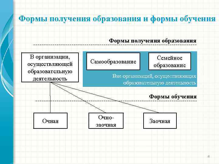 Формы получения образования и формы обучения Формы получения образования В организации, осуществляющей образовательную деятельность