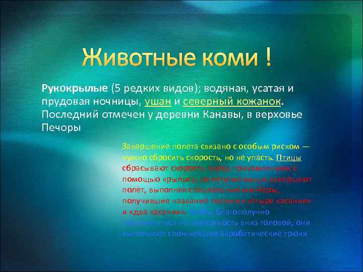  Животные коми ! Рукокрылые (5 редких видов); водяная, усатая и прудовая ночницы, ушан