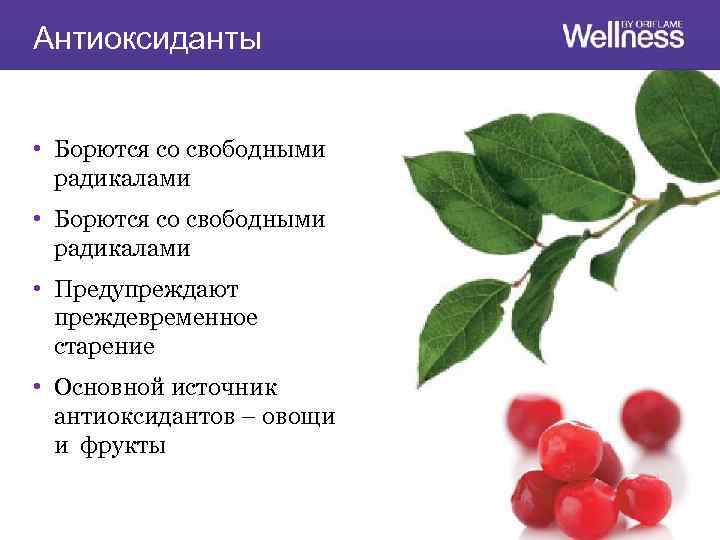 Антиоксиданты • Борются со свободными радикалами • Предупреждают преждевременное старение • Основной источник антиоксидантов