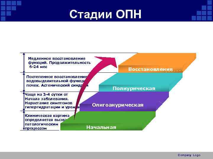 Стадии ОПН Медленное восстановление функций. Продолжительность 6 -24 мес Постепенное восстановление водовыделительной функции почек.