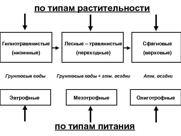 по типам растительности Гипнотравянистые Лесные – травянистые Сфагновые (низинные) (переходные) (верховые) Грунтовые воды +