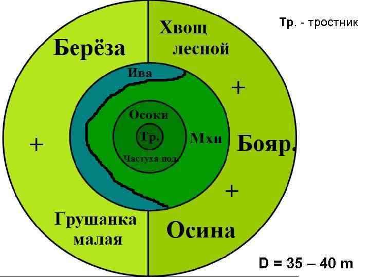 Тр. - тростник D = 35 – 40 m 