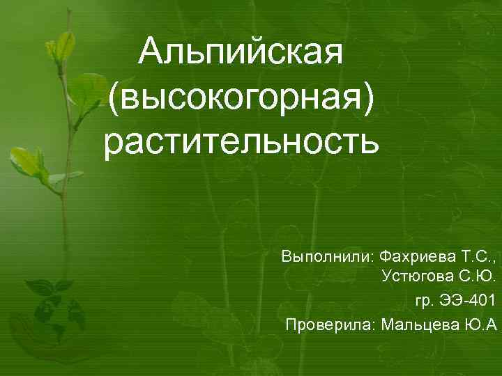 Альпийская (высокогорная) растительность Выполнили: Фахриева Т. С. , Устюгова С. Ю. гр. ЭЭ-401 Проверила: