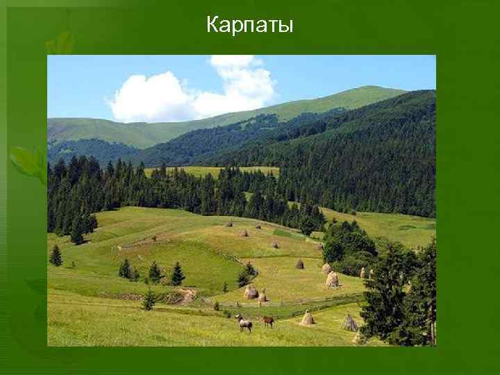 Карпаты 