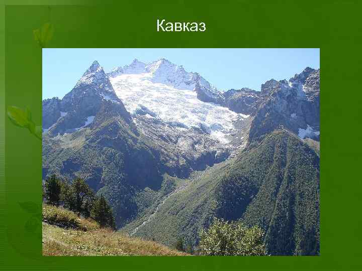 Кавказ 