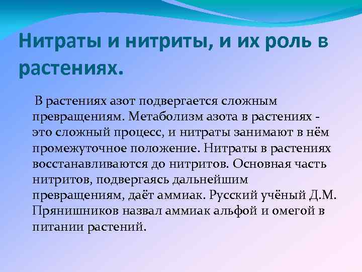 Превращение нитратов в нитриты. Нитраты и нитриты. Как нитраты влияют на растения. Нитраты, нитриты и нитрозосоединения. Нитраты в нитрозамины.