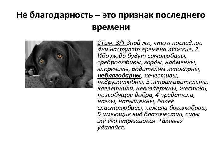 Не благодарность – это признак последнего времени 2 Тим. 3/1 Знай же, что в