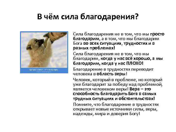 В чём сила благодарения? Сила благодарения не в том, что мы просто благодарим, а