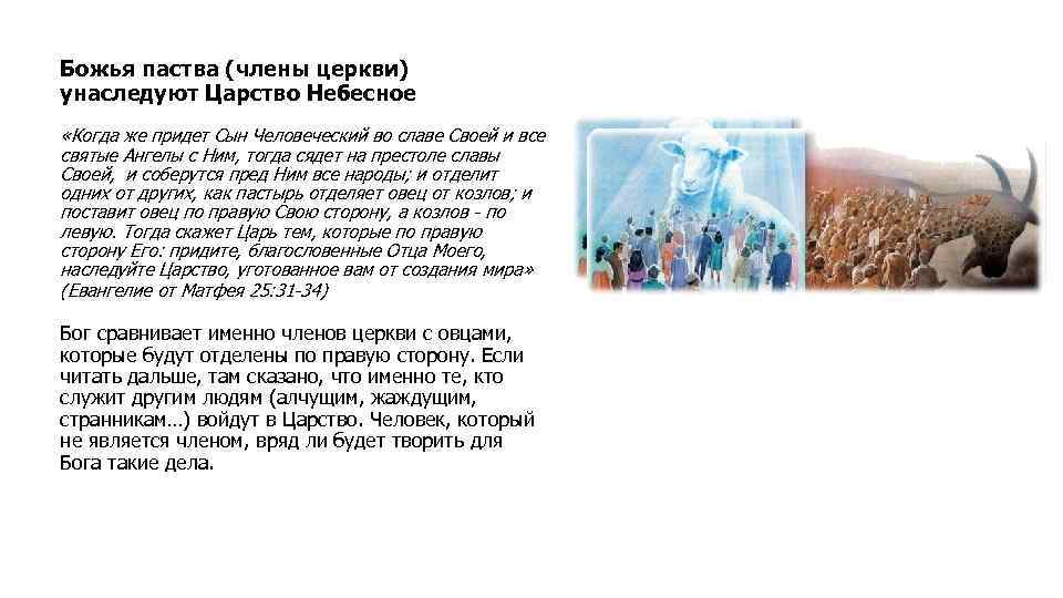 Божья паства (члены церкви) унаследуют Царство Небесное «Когда же придет Сын Человеческий во славе
