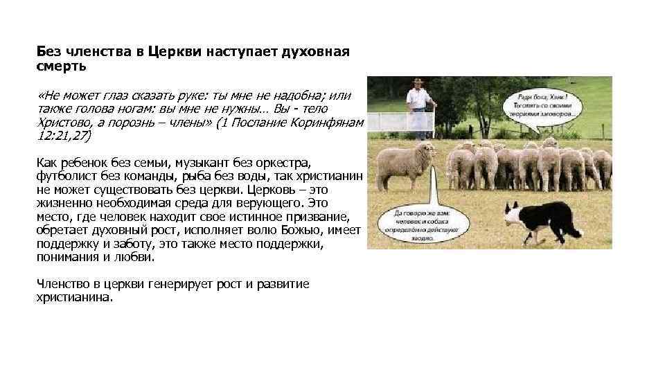 Без членства в Церкви наступает духовная смерть «Не может глаз сказать руке: ты мне